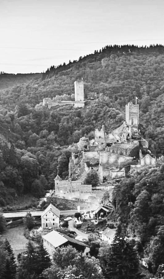 Herberg Die Alte Schleuse Manderscheid Exterior photo